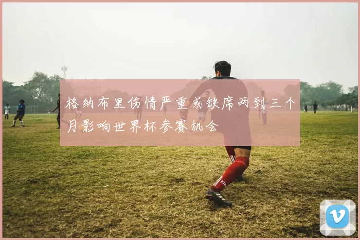 格纳布里伤情严重或缺席两到三个月影响世界杯参赛机会